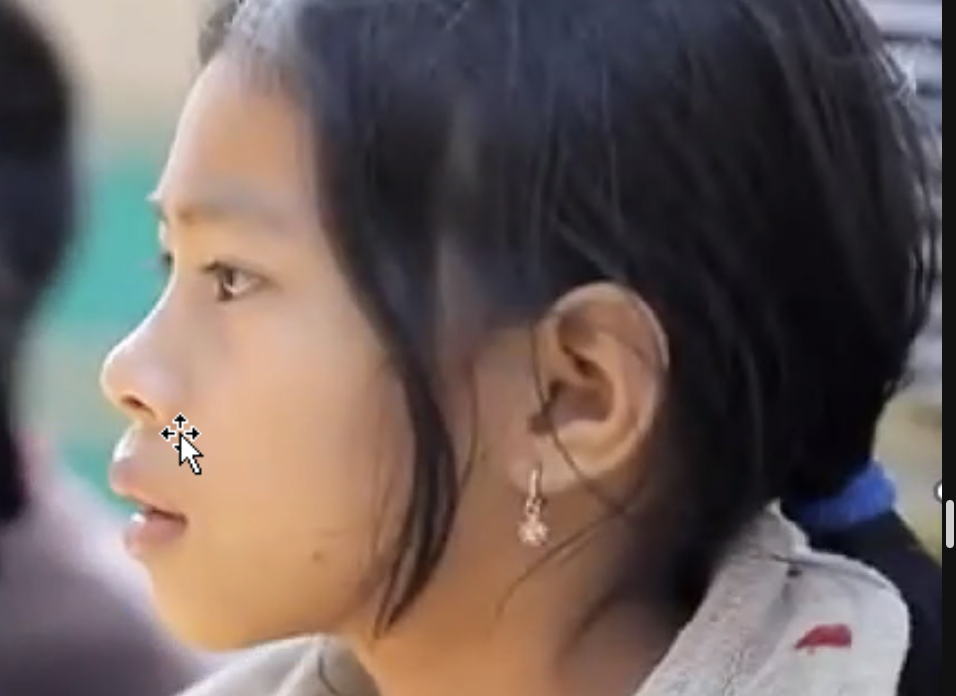 Meeting the needs of Indigenous, Native and Aboriginal