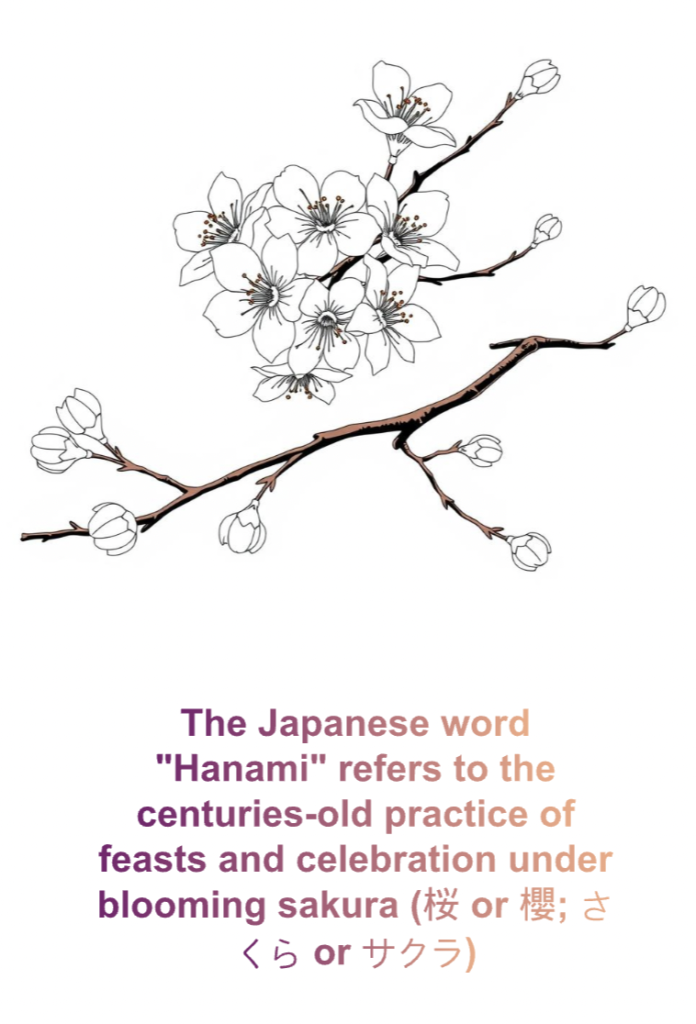 It's Cherry Blossom Season in Washington DC, coloring activity, math problem and more! 3