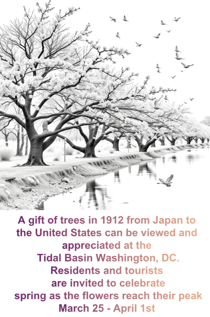 It's Cherry Blossom Season in Washington DC, coloring activity, math problem and more! 2