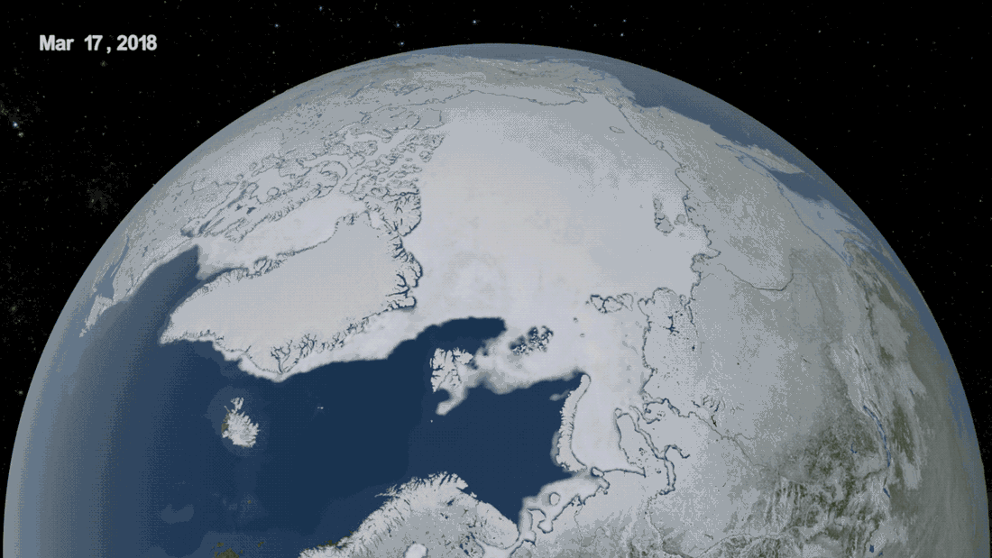 INSTANT Guide to the Artic vs Antarctic