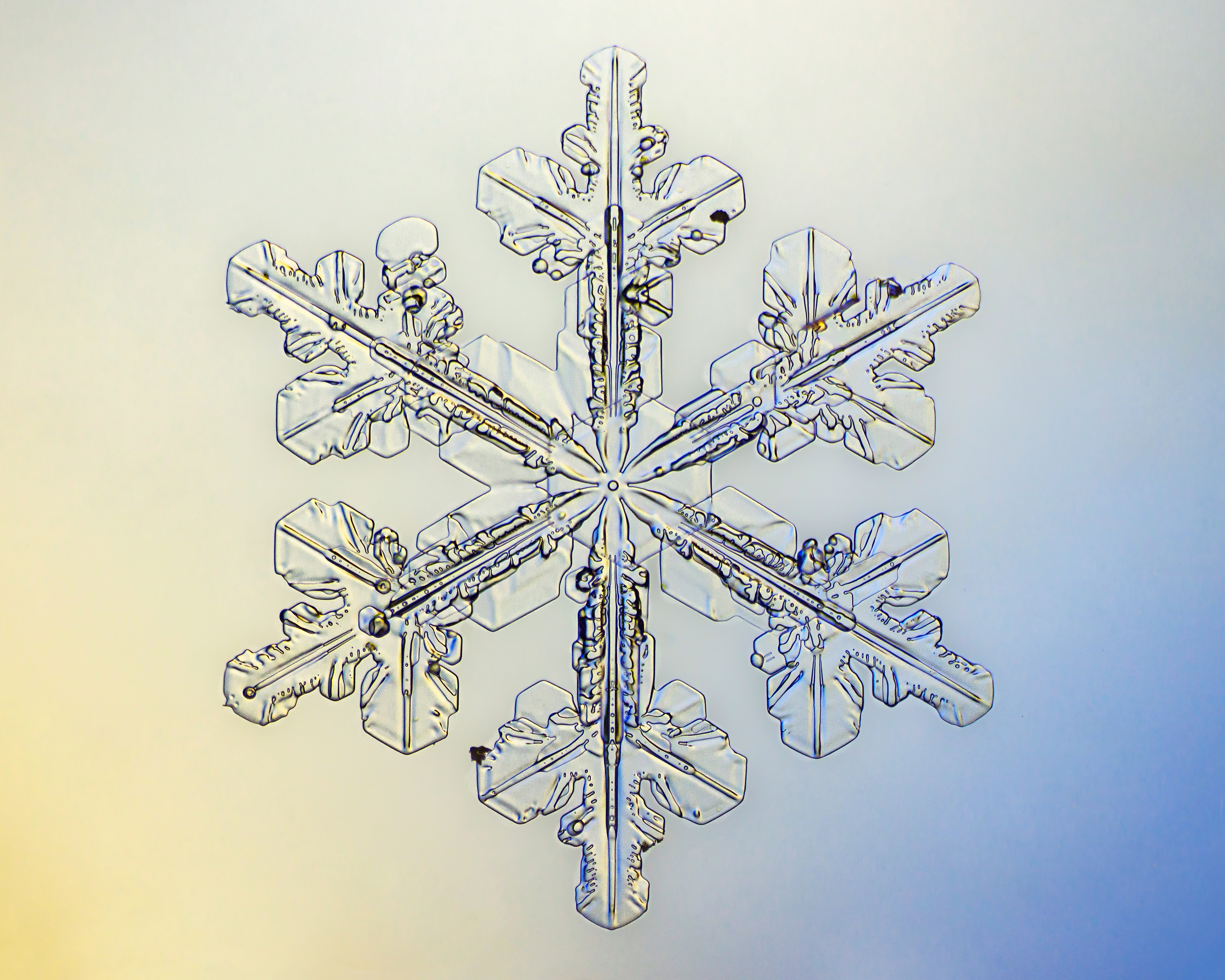 Physics Friday: Is it a solid, liquid or vapor?