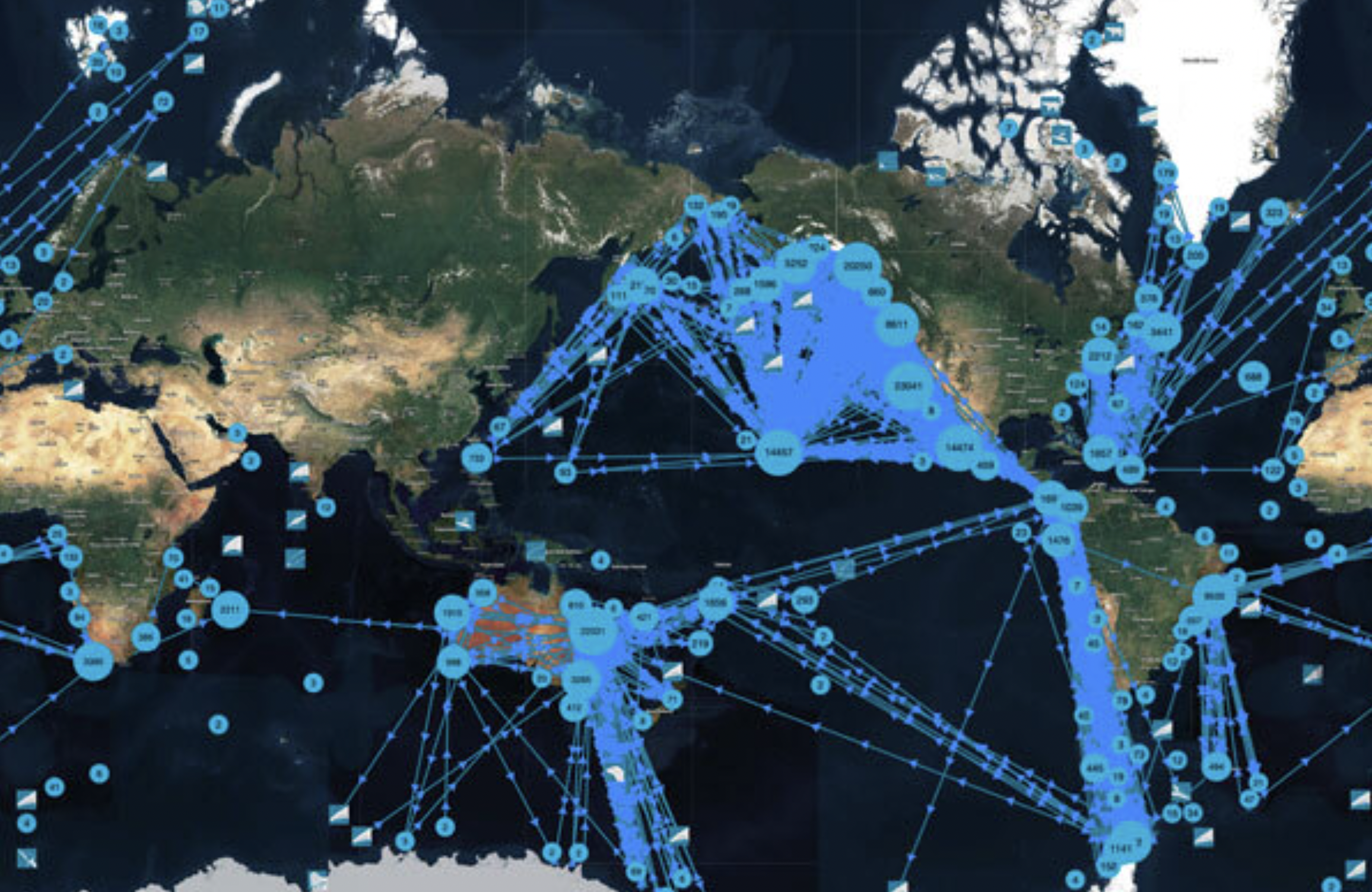 Follow the Humpback Whales Around the World!