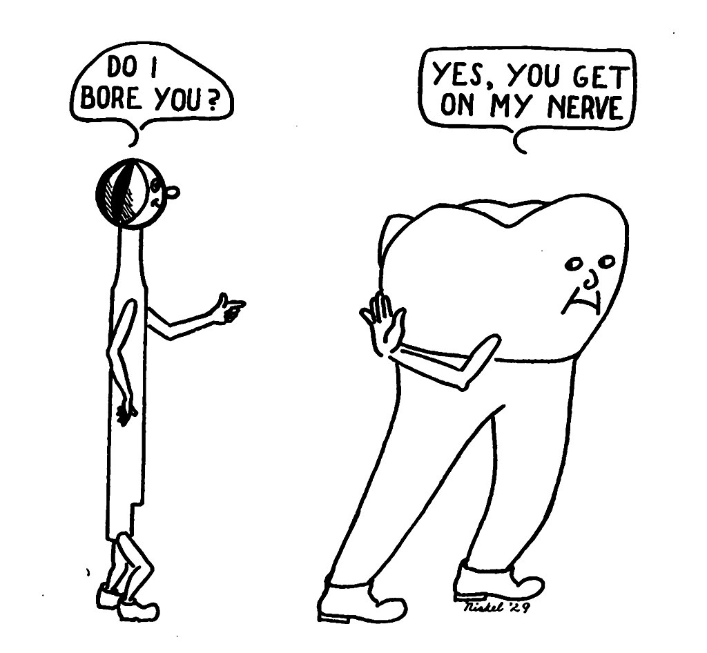 Word Search: The Dentist’s Dictionary