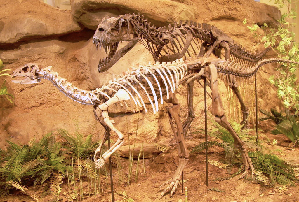 https://month.thence.us/our-favorite-dinosaur-exhibits-in-the-usa/