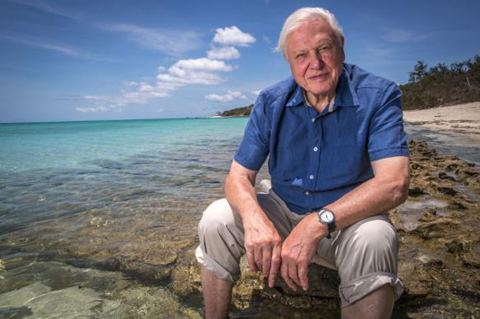 Close-up with David Attenborough: Nature’s Greatest Storyteller Turns 100