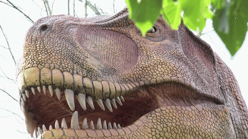 What it would have been like to experience the dinosaur‑killing asteroid armageddon?