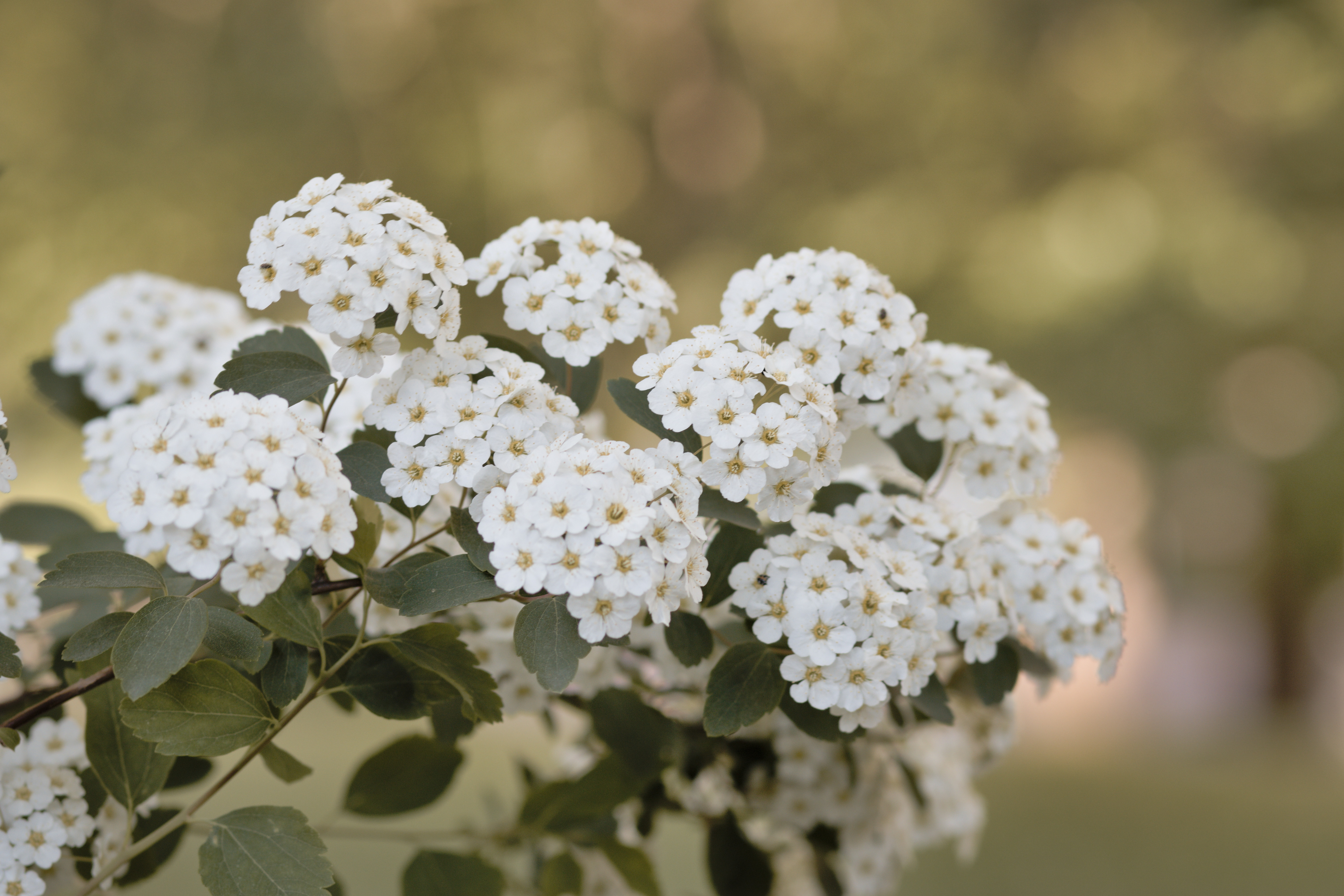 Nature Through the Lens: Instant Lesson for Nature Photography Day