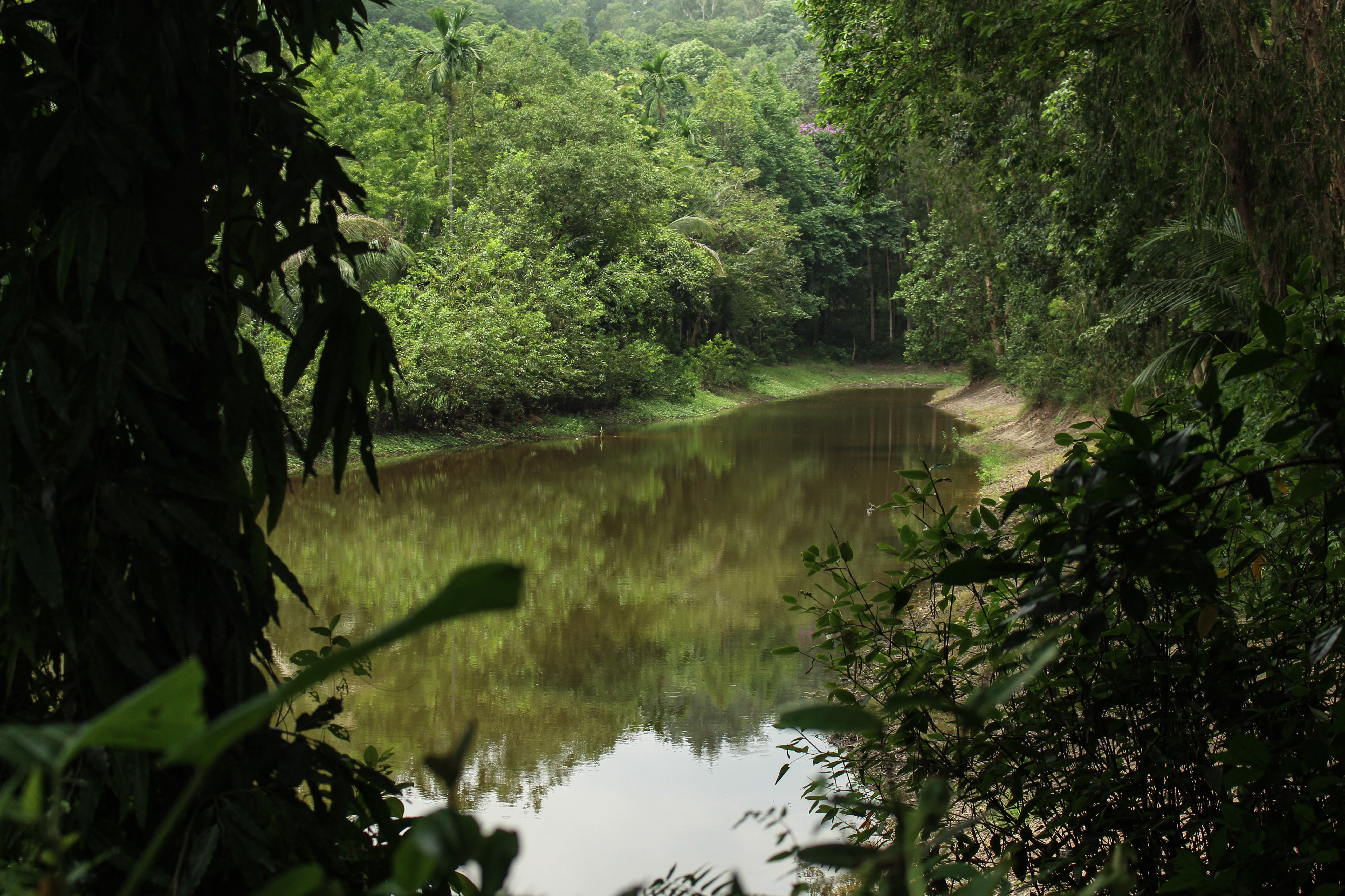 World Environment Day Crossword Puzzle 2 world environment day crossword puzzle
